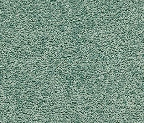Ковролин Vorwerk Passion 1001 4f48