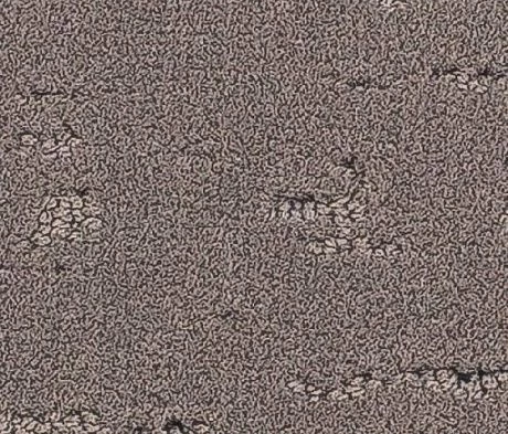 Ковровая плитка Balsan1 Balsan Groove Sonic Confort 730