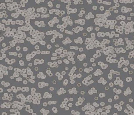 Ковролин Forbo Flotex Sottsass Bacteria 990304 