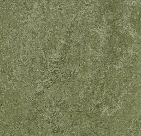 Линолеум Forbo Marmoleum Modular Colour 3255