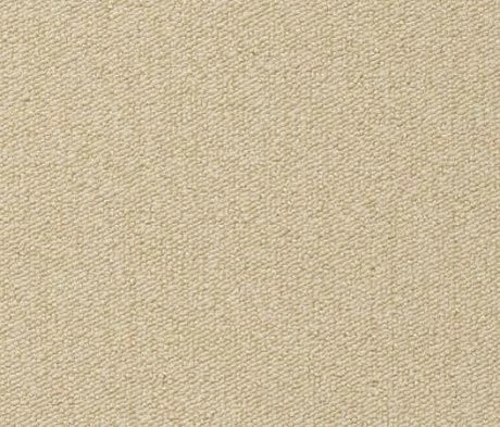 Ковролин Vorwerk Passion 1005 8j03