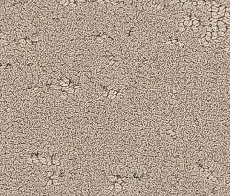 Ковровая плитка Balsan1 Balsan Groove Sonic Confort 610