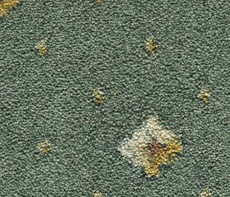 Ковролин Condor Carpets Asia 163