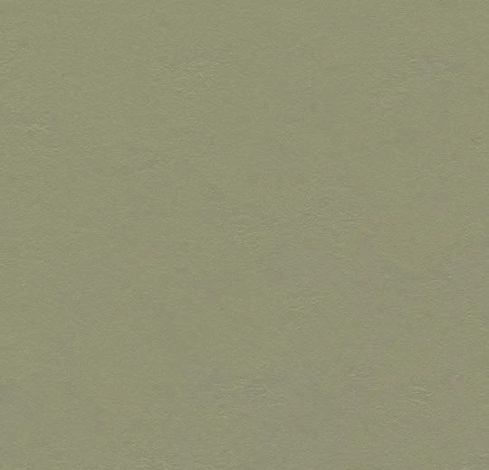 Линолеум Forbo Marmoleum Solid Walton 3355 335535 Rosemary Green