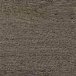  Gerflor Taralay Initial Comfort 0069 Wood Noisette