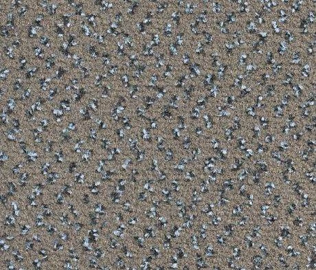 Ковровая плитка Balsan1 Balsan Impression 780 
