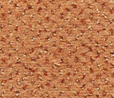 Ковролин Condor Carpets Argus1 Argus 204