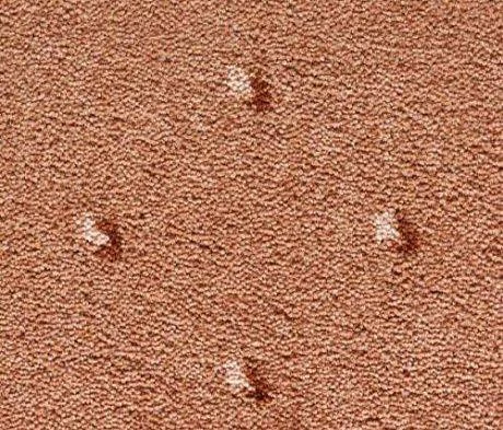 Ковролин Condor Carpets Africa 281