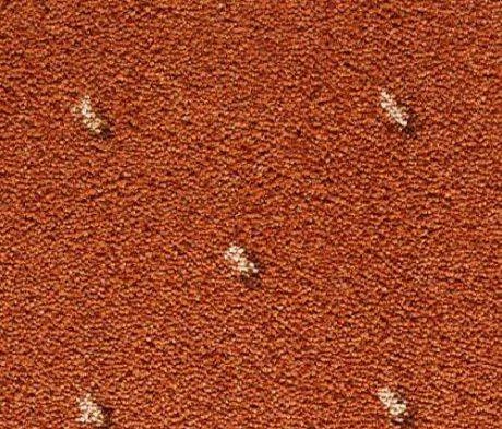 Ковролин Condor Carpets Africa 218