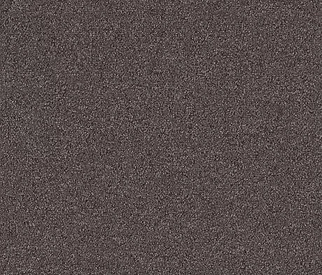 Ковровая плитка Interface Menagerie 304928