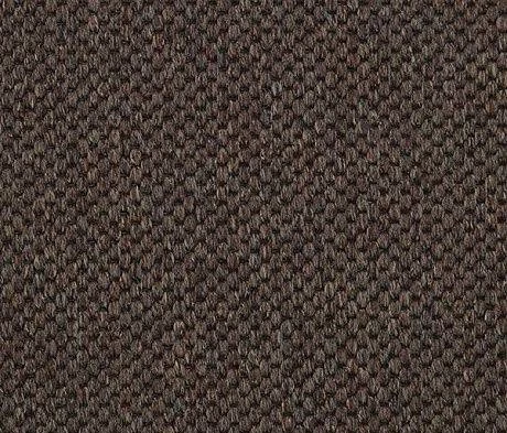 Ковролин Carpet Concept Yve 2 6403
