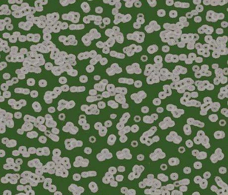 Ковролин Forbo Flotex Sottsass Bacteria 990403 