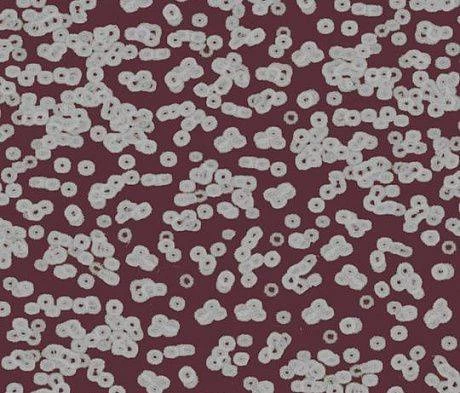 Ковролин Forbo Flotex Sottsass Bacteria 990402 