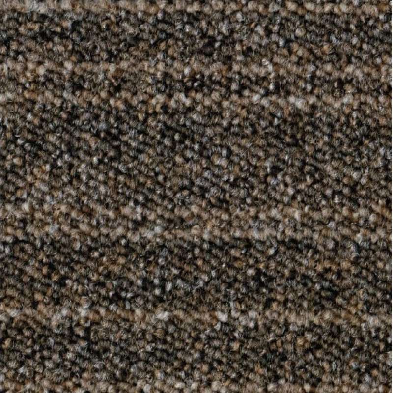 Ruscarpettiles Rct Cuba Line