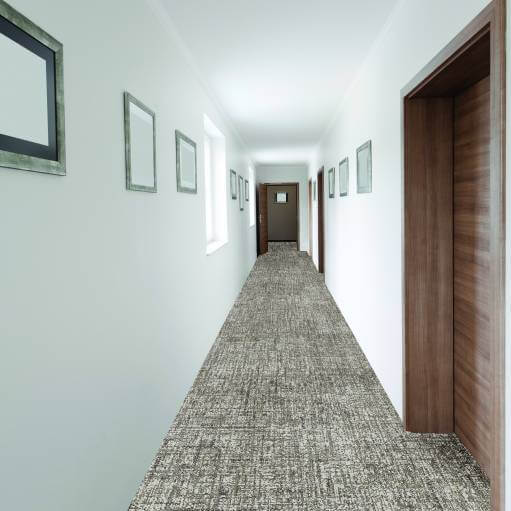 Balsan Darius