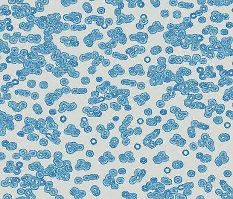 Ковролин Forbo Flotex Sottsass Bacteria 990202 