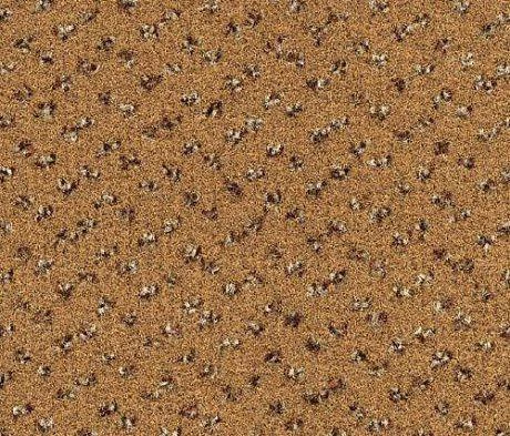 Ковровая плитка Desso1 Desso Trapez 2048 