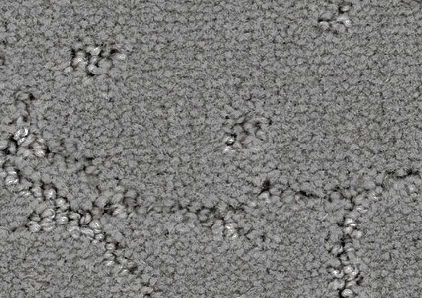 Ковролин Balsan Muse 920