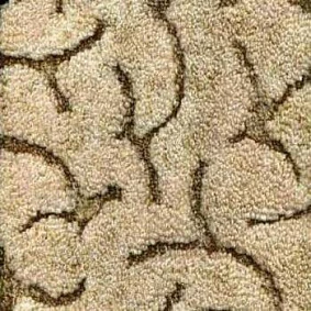  Domo Barok 106