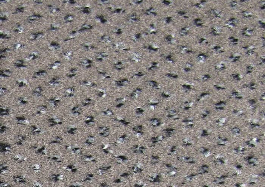 Ковровая плитка 90 Dark Beige