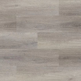  Arbiton Liberal Bologna Oak