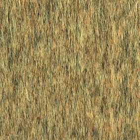  Desso1 Desso Lita 1908