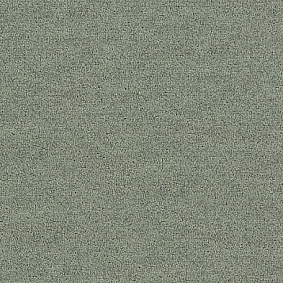  Interface Polichrome Solid