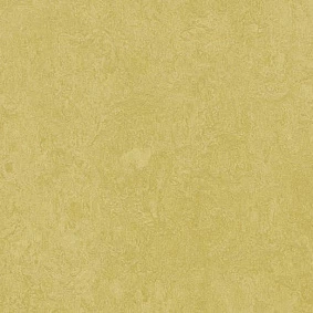  Forbo Marmoleum Decibel On Order 325935 Mustard