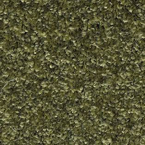  Associated Weavers Meridia 24