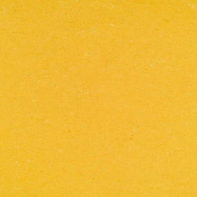  Armstrong2 Armstrong Colorette Lpx 131 001