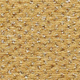 Condor Carpets Argus1