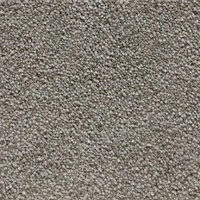  Radici Lord Avena 331b