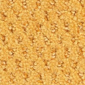  Balsan 350 Ambre