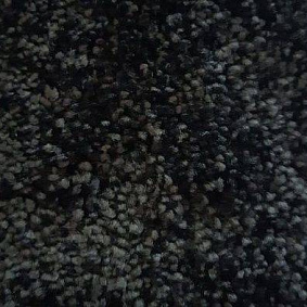  Condor Carpets Dynasty