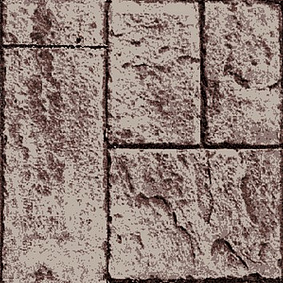  Enia