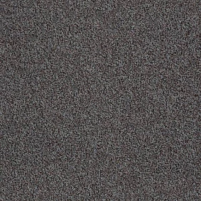  Interface 5569