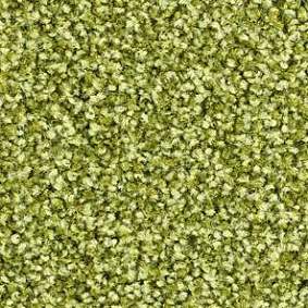  Balsan1