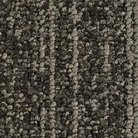 Balsan1 Balsan Jungle 790
