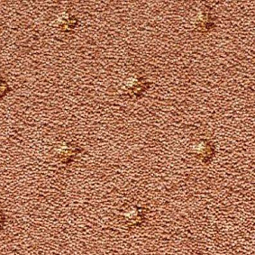  Condor Carpets Asia
