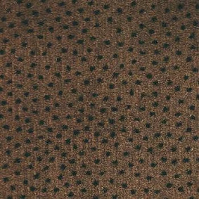  Associated Weavers Perfecto 44