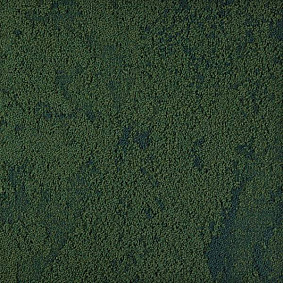  Interface