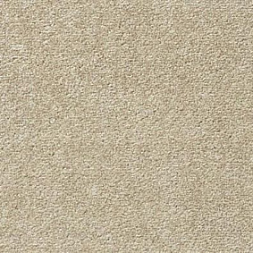  Vorwerk Passion 1004