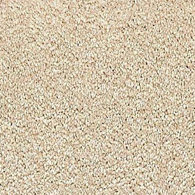  Vorwerk Passion 1001