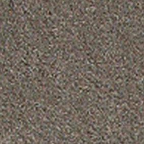  Girloon Standard 855