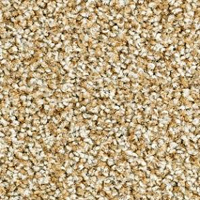  Balsan1