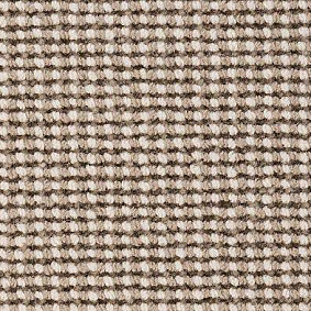  Best Wool