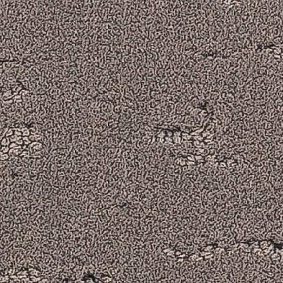  Balsan1 Balsan Groove Sonic Confort
