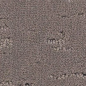  Balsan1 Balsan Groove Sonic Confort 730