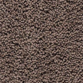  Best Wool Pure Palace Lux 189