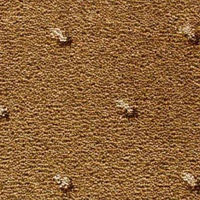  Condor Carpets Africa 159